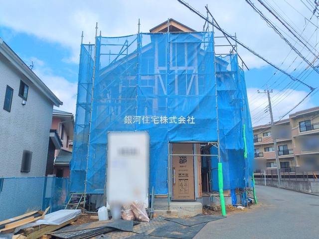柏