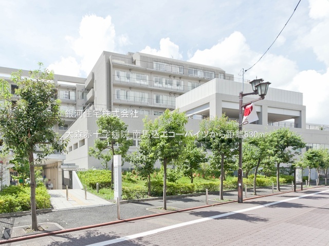 G00385571 東京都大田区南馬込３丁目 中古マンション 2398万円 専有面積45.66m² (約13.81坪) 間取り２ＤＫ 所在階3階 築年月1981年05月(築44年)【周辺環境】大森赤十字病院