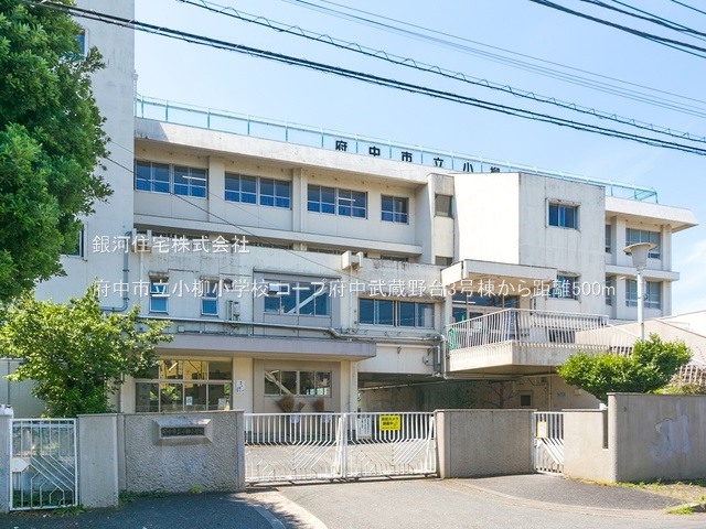 G00386744 東京都府中市押立町１丁目 中古マンション 3799万円 専有面積68.17m² (約20.62坪) 間取り３ＬＤＫ 所在階3階 築年月1983年09月(築42年)【周辺環境】府中市立小柳小学校