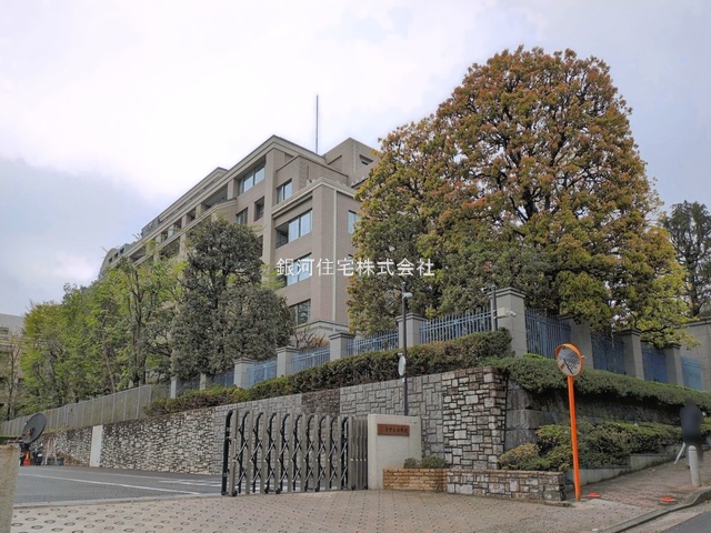 G00392268 東京都港区西麻布４丁目 中古マンション 5億1400万円 専有面積94.42m² (約28.56坪) 間取り２ＬＤＫ 所在階3階 築年月2000年02月(築26年)【外観4】