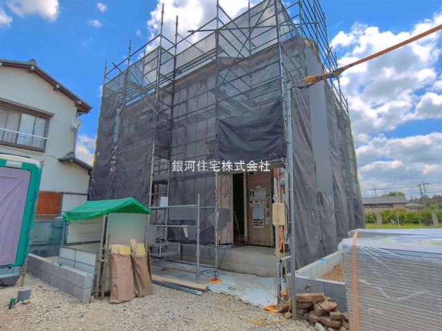 柳沢