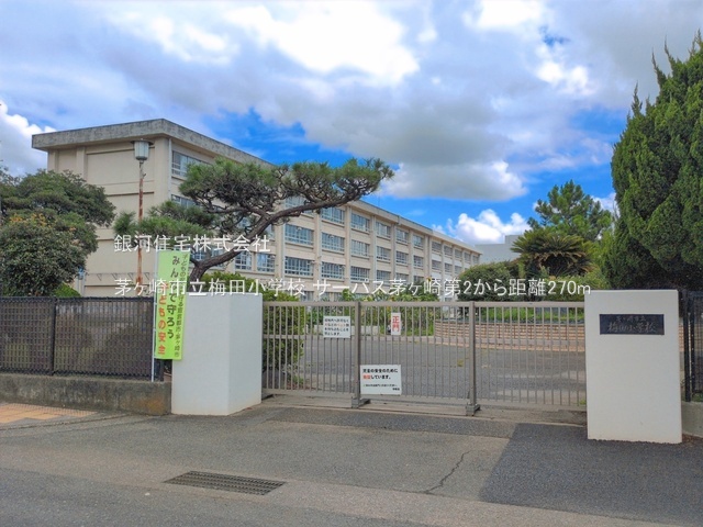 G00398651 神奈川県茅ヶ崎市茅ヶ崎１丁目 中古マンション 5399万円 専有面積71.66m² (約21.67坪) 間取り３ＬＤＫ 所在階4階 築年月1996年05月(築30年)【周辺環境】茅ヶ崎市立梅田小学校